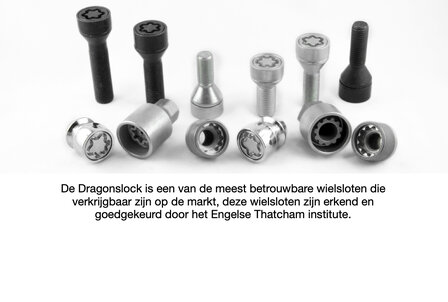 Dragonslock Velgenslot - Renault Modus vanaf 2006 - Zwart