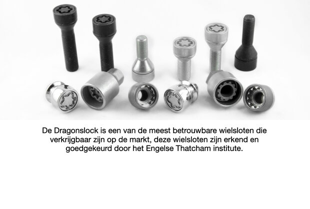 Dragonslock Velgenslot - Renault Modus vanaf 2006 - Zwart